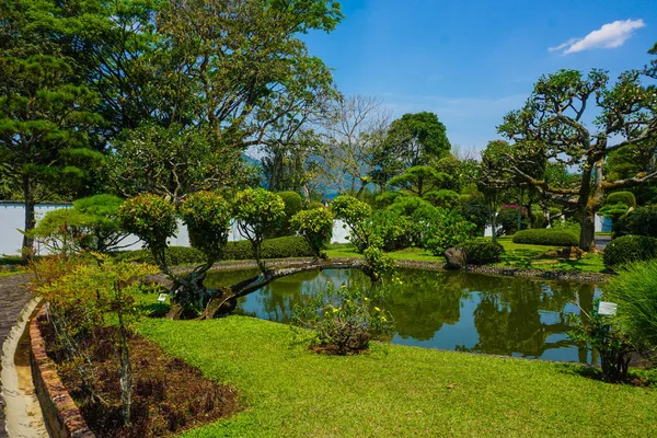 Japan Japanese Garden Style Bonsai Tree Green Grass Small Pool — Stock Photo, Image