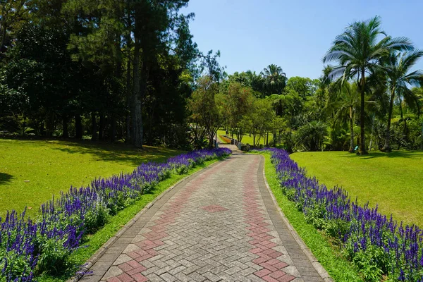 공원에 잔디에 라벤더 통로와로 인도네시아 — 스톡 사진