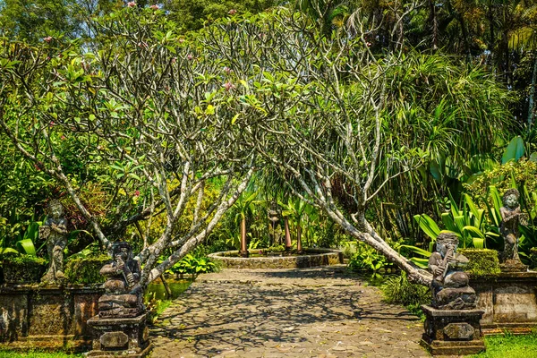 Bali Puerta Estilo Jardín Con Estatua Piedra Tradicional Con Árbol — Foto de Stock