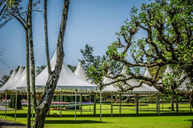 Beyaz çadır boş kimse çiçek ile yeşil çim ve ağaç arka planda - fotoğraf Endonezya