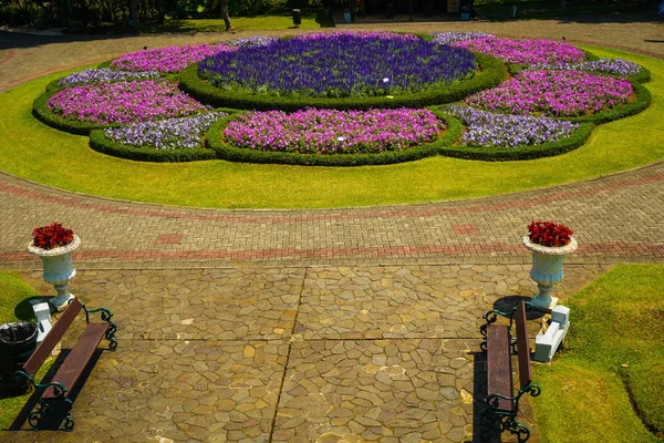 Κέντρο Πάρκο Πετούνια Ροζ Και Μοβ Λουλούδι Και Πάγκος Από — Φωτογραφία Αρχείου