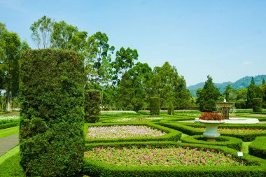 Park Bahçe tarz ile şekil bush ve çiçek çiçek açan Fransız