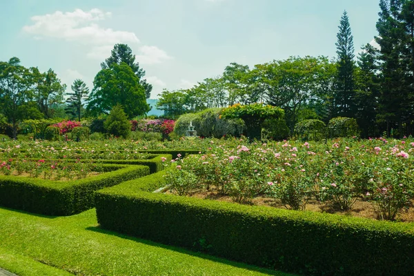 Parque verde bonito com forma de retângulo de jardim de parede — Fotografia de Stock