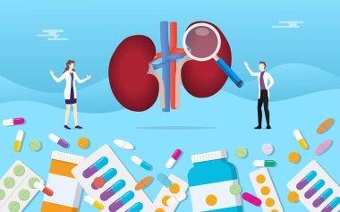 insan iki böbrek Tıp Sağlık hap kapsül tedavisi ilaç doktor analizi ile - vektör