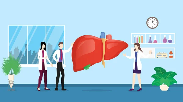 Análise de check-up de cuidados de saúde do fígado humano identificando por médicos no hospital - vetor —  Vetores de Stock