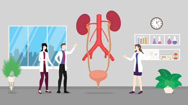 Anatomia do ureter humano estrutura sistema de saúde análise de check-up identificando por médicos no hospital - vetor — Vetor de Stock