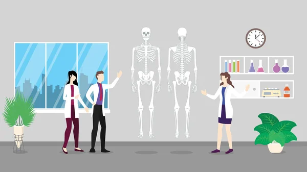 Menselijk skelet anatomie structuur gezondheidszorg Checkup analyse identificeren door arts mensen op het ziekenhuis-vector — Stockvector