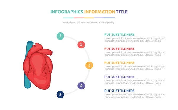 Concepto de plantilla de infografía de anatomía del corazón humano con cinco puntos de lista y varios colores con fondo blanco moderno limpio vector — Vector de stock