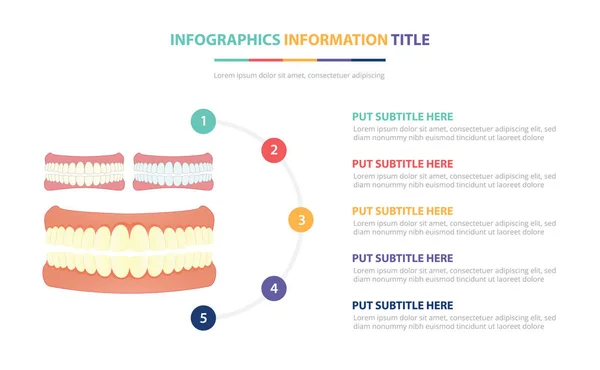 Concepto de plantilla de infografía de dientes o dientes humanos con cinco puntos de lista y varios colores con fondo blanco moderno limpio - vector — Vector de stock