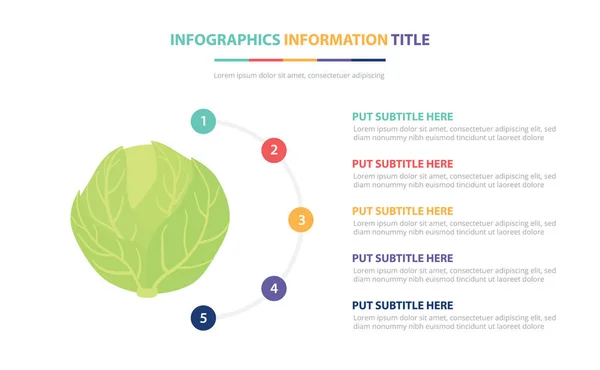 Concepto de plantilla infográfica de col verde con cinco puntos de lista y varios colores con fondo blanco moderno limpio - vector — Vector de stock