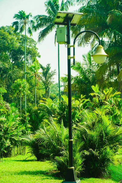 Lámpara de calle con energía del panel solar en bosque verde tropical en indonesia — Foto de Stock