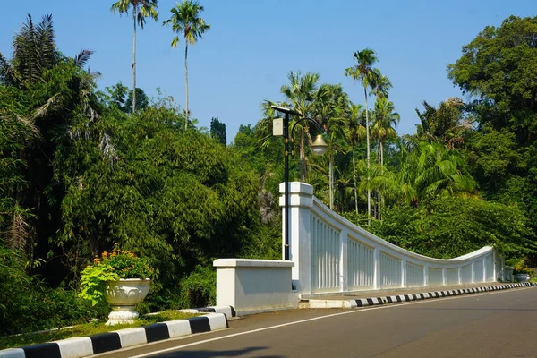 Puente blanco en el Jardín Botánico de Bogor con bosque verde natural país tropical en indonesia — Foto de Stock