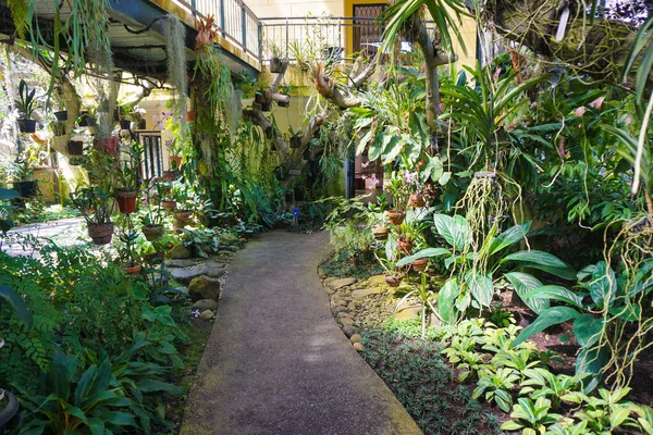 Maison d'orchidée avec petit chemin de promenade ou chemin de chemin sur le centre avec divers arbres de type végétal indonesia — Photo