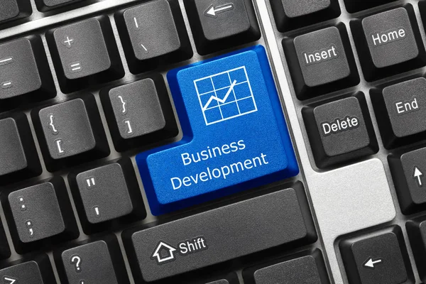 Visão Close Teclado Conceitual Desenvolvimento Negócios Tecla Azul — Fotografia de Stock