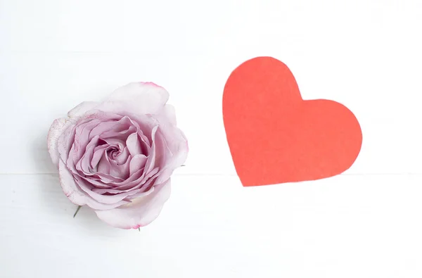 Силверстон Роуз Белом Фоне Красным Сердцем День Святого Валентина — стоковое фото