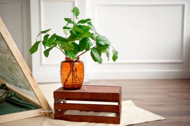 Paskalya tatili, yeşil yaprakları ve Mimoza çiçek vazo dekor