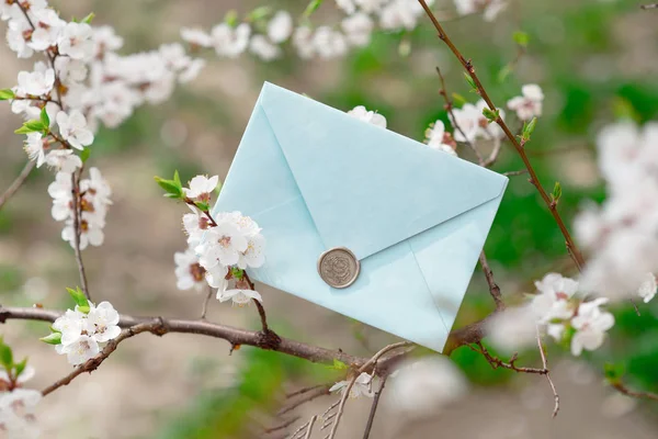 Enveloppe Invitation Bleue Avec Sceau Cire Chèque Cadeau Une Carte — Photo