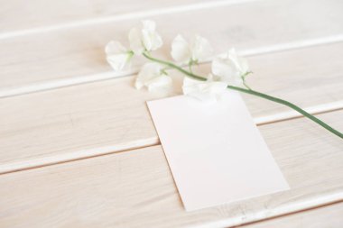 Beyaz çiçek dalı ile beyaz ahşap bir masa üzerinde bir spa veya bakım dekore mektup kartı için düğün davetiyesi doğum günü hediye sertifikası.