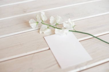 Beyaz çiçek dalı ile beyaz ahşap bir masa üzerinde bir spa veya bakım dekore mektup kartı için düğün davetiyesi doğum günü hediye sertifikası.