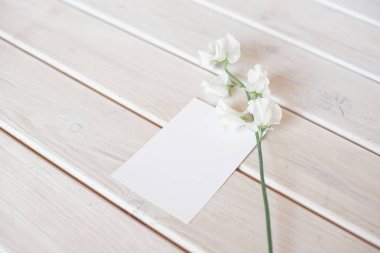 Beyaz çiçek dalı ile beyaz ahşap bir masa üzerinde bir spa veya bakım dekore mektup kartı için düğün davetiyesi doğum günü hediye sertifikası.