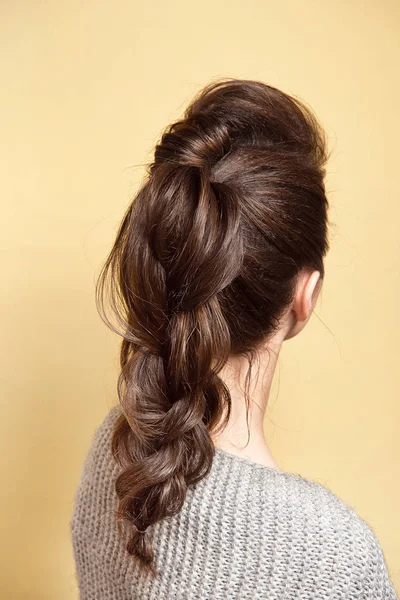 Vista trasera de la trenza de volumen de peinado femenino con cabello castaño . — Foto de Stock
