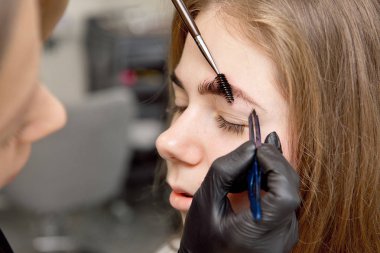 Güzel bir kadın kozmetik fırça kullanarak kaş çiziyor. Makyaj sanatçısı bir modele başvuruyor..