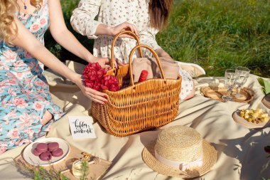 Piknik meyve, peynir, kızarmış ekmek, bal, şarap bir hasır sepet ve bir battaniye ile ayarlayın. Kız ve ürünlerde doğa güzel yaz arka plan.