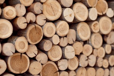 Ağacın kütükleri duvarda.