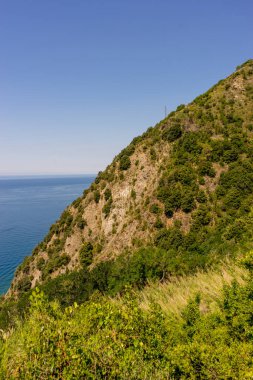 Avrupa, İtalya, Cinque Terre, Corniglia, bir yamacın yakınında bir su kütlesi.