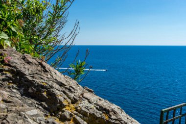 Avrupa, İtalya, Cinque Terre, Vernazza, bir su kütlesinin yanındaki kayaya yakın çekim