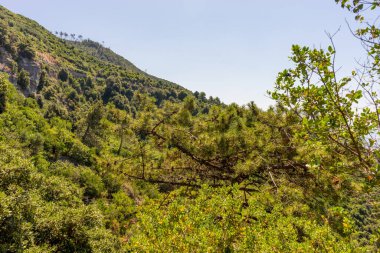 Avrupa, İtalya, Cinque Terre, Corniglia, FOREST GÖREVLERİNİN MÜZESİ