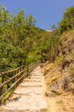 Avrupa, İtalya, Cinque Terre, Corniglia, FOOTPATH AMIDST TÜRKLERİ