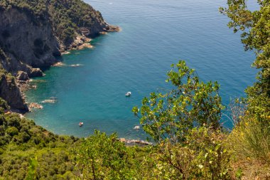 Avrupa, İtalya, Cinque Terre, Corniglia, ağaçlarla çevrili büyük bir su kütlesi.