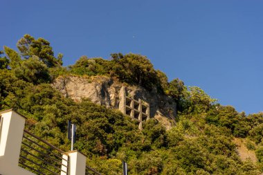 Avrupa, İtalya, Cinque Terre, Monterosso, bir binanın önündeki ağaç.