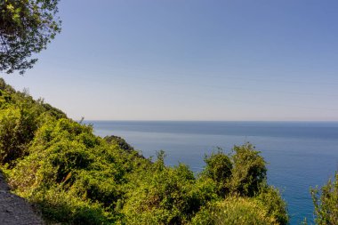 Europe, Italy, Cinque Terre, Corniglia, a close up of a hillside next to a body of water clipart
