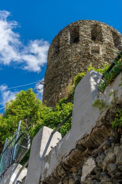 Avrupa, İtalya, Cinque Terre, Vernazza, bir kaya duvarına yakın çekim