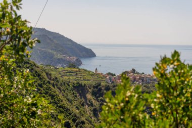 Avrupa, İtalya, Cinque Terre, Corniglia, bir yamacın yakınında bir su kütlesi.