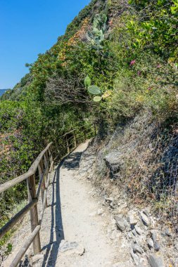 Avrupa, İtalya, Cinque Terre, Corniglia, ROCKY Dağı 'nın FOOTPATH görüntüsü