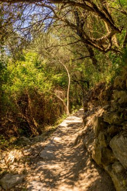 Avrupa, İtalya, Cinque Terre, Corniglia, FOOTPATH AMIDST HASTANESİ