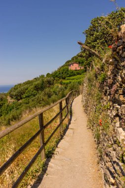 Avrupa, İtalya, Cinque Terre, Corniglia, toprak yolda giden bir tren.