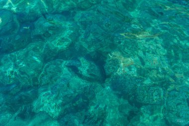 Avrupa, İtalya, Cinque Terre, Monterosso, yeşil bir sualtı.