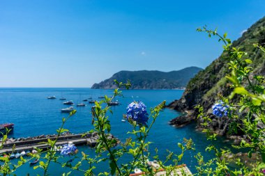Avrupa, İtalya, Cinque Terre, Vernazza, bir su kütlesindeki küçük bir tekne.