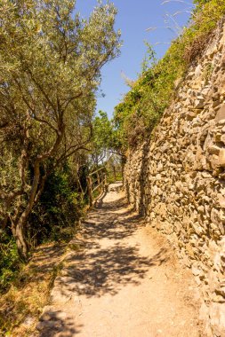 Avrupa, İtalya, Cinque Terre, Corniglia, FOOTPATH AMIDST TÜRKLER