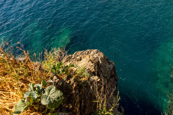 Europa Italien Cinque Terre Manarola Ein Großes Gewässer — Stockfoto