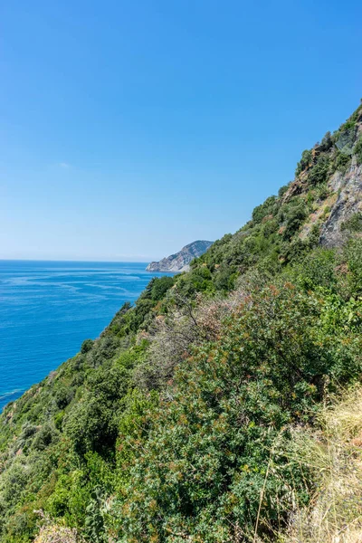 Europa Itália Cinque Terre Corniglia Close Uma Encosta Lado Corpo — Fotografia de Stock