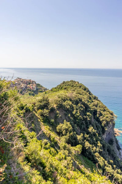 Europa Italia Cinque Terre Corniglia Primo Piano Una Collina Accanto — Foto Stock