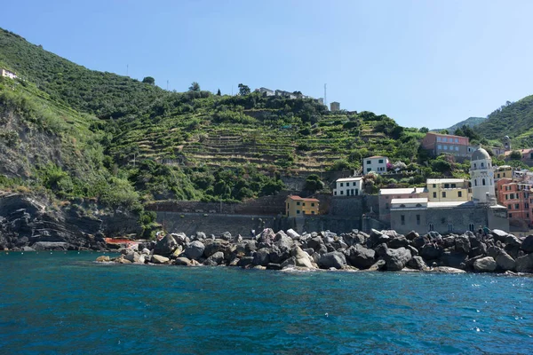 Itália Cinque Terre Vernazza Uma Grande Quinta Vinhos Encosta Moutanin — Fotografia de Stock