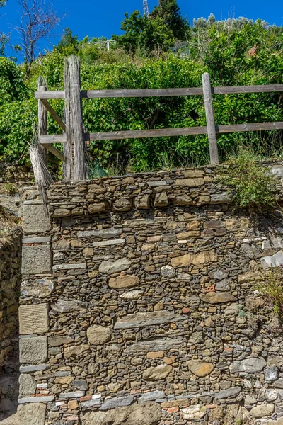 Європа Італія Cinque Terre Vernazza View Stone Wall Trees — стокове фото