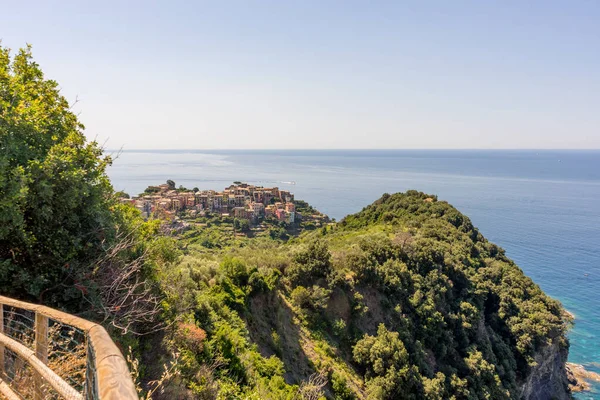 Avrupa, İtalya, Cinque Terre, Corniglia, bir su kütlesinin yanındaki ağaç.