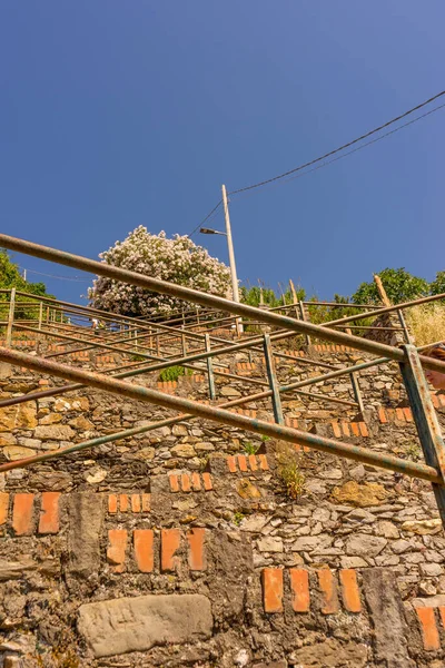 Europa Italien Cinque Terre Corniglia Nära Bro — Stockfoto